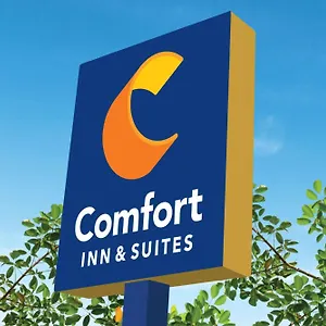 Comfort & Savannah
